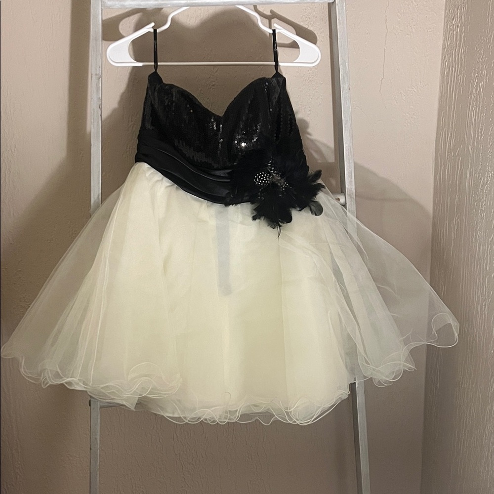 Elegant Black and Cream  Dress